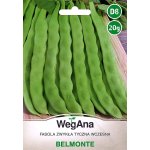 Fasola szparagowa tyczna zielonostrąkowa BELMONTE (Phaseolus vulgaris) - 20 g