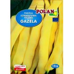 Fasola szparagowa tyczna żółtostrąkowa GAZELA (Phaseolus vulgaris L.) - 15 g