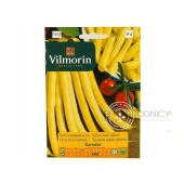 Fasola szparagowa tyczna żółtostrąkowa RAMDOR (Phaseolus vulgaris) - 10 g