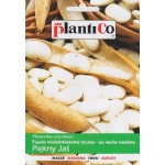 Fasola tyczna na suche nasiona PIĘKNY JAŚ (Phaseolus vulgaris) - 40 g