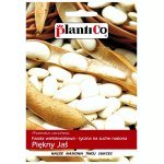 Fasola tyczna na suche nasiona PIĘKNY JAŚ (Phaseolus vulgaris) - 40 g