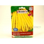 Fasola szparagowa karłowa żółtostrąkowa ZŁOTA SAXA (Phaseolus vulgaris) - 48 g 