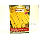 Fasola szparagowa karłowa żółtostrąkowa GOLDPANTERA (Phaseolus vulgaris) - 40 g 