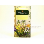 Fiołek o pędach zwisających (mieszanka) (Vola x williamsii) - 0,2 g