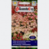 Floks gwiaździsty (mieszanka) (Phlox drummondii stellaris) - 0,5 g0