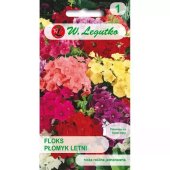 Floks, Płomyk letni gwiaździsty (mieszanka) (Phlox drummondii var. stellaris) - 0,5 g