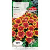 Gailardia, Dzianwa (Gaillardia aristata) - 1 g