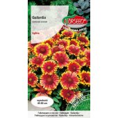 Gailardia, Dzianwa (Gaillardia aristata) - 1 g