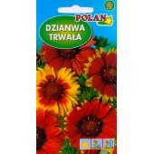 Gailardia, Dzianwa trwała (Gaillardia aristata) - 1 g