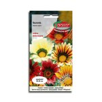 Gazania mieszana (Gazania rigens) - 0,3 g