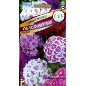 Goździk brodaty (mieszanka) (Dianthus barbatus) - 1 g