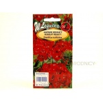 Goździk brodaty SCARLET BEAUTY (ognistoczerwony) (Dianthus barbatus) - 0,5 g 