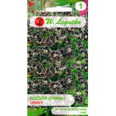 Goździk chiński CHIANTI (Dianthus barbatus) - 0,1 g