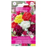 Goździk ogrodowy CHABAUD mieszanka (Dianthus barbatus) - 0,1 g