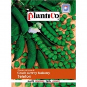 Groch łuskowy wysoki TELEFON (Pisum sativum) - 50 g 