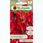 Groszek pachnący (czerwony) (Lathyrus odoratus) - 3 g