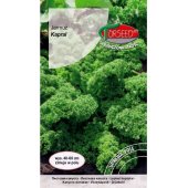 Jarmuż niski KAPRAL (Brassica oleracea convar.acephala var.sabellica) - 1 g