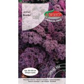 Jarmuż SCARLET (Brassica oleracea convar. acephala var. sabellica) - 1 g 