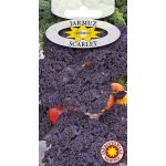 Jarmuż SCARLET (Brassica oleracea convar. acephala var. sabellica) - 1 g 