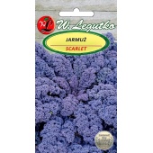 Jarmuż SCARLET (Brassica oleracea convar. acephala var. sabellica) - 1 g 