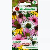 Jeżówka mieszanka gatunków (Echinacea sp.) - 1 g