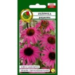 Jeżówka (purpurowa) (Echinacea purpurea) - 1 g