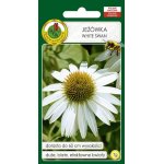 Jeżówka WHITE SWAN (Echinacea sp.) - 1 g