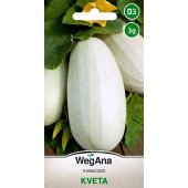 Kabaczek KVETA (Cucurbita pepo) - 3 g 