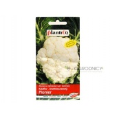 Kalafior PIONIER (Brassica oleracea var. botrytis) - 1 g