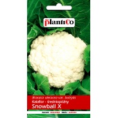 Kalafior SNOWBALL X (Brassica oleracea var. botrytis) - 1 g