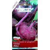 Kalarepa czerwona ALKA (Brassica oleracea var. gongylodes) - 2 g