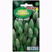Kanar ozdobny (Phalaris canariensis) - 2 g