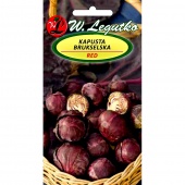 Kapusta brukselska RED (Brassica oleracea L.) - 0,3 g