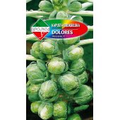 Kapusta brukselska DOLORES MIESZANIEC F1 (Brassica oleracea L.) - 0,5 g