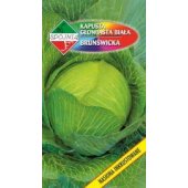 Kapusta głowiasta biała BRUNŚWICKA (Brassica oleracea var capitata) - 1 g