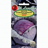 Kapusta głowiasta czerwona wczesna HACO (Brassica oleracea var capitata) - 2 g