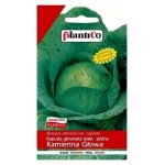 Kapusta głowiasta KAMIENNA GŁOWA (Brassica oleracea var. capitata) - 2,4 g