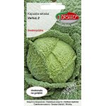 Kapusta włoska późna VERTUS 2 (Brassica oleracea var capitata) - 2 g