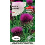 Karczoch hiszpański (Cynara cardunculus) - 1 g