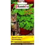 Kocimiętka (Nepeta cataria) - 0,5 g