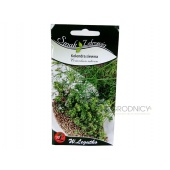 Kolendra siewna (Coriandrum sativum) - 3 g