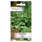 Kolendra siewna (Coriandrum sativum) - 3 g