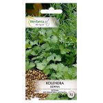 Kolendra siewna (Coriandrum sativum) - 3 g