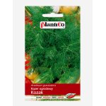Koper ogrodowy KOZAK (Anethum graveolens) - 6 g
