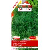 Koper ogrodowy SAMSON (Anethum graveolens) - 5 g