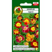 Kroplik tygrysi, Figlarz (Mimulus tigrinus) - 0,1 g 