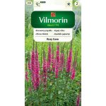 Krwawnica pospolita ROSY GEM (Lythrum salicaria) - 300 mg