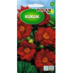 Kuklik (Geum chiloense) - 0,5 g