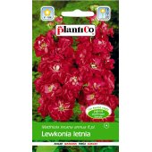 Lewkonia letnia (czerwona) (Matthiola incana annua) - 0,5 g