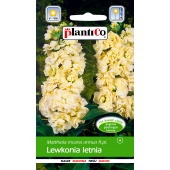 Lewkonia letnia (kremowa) (Matthiola incana annua) - 0,5 g